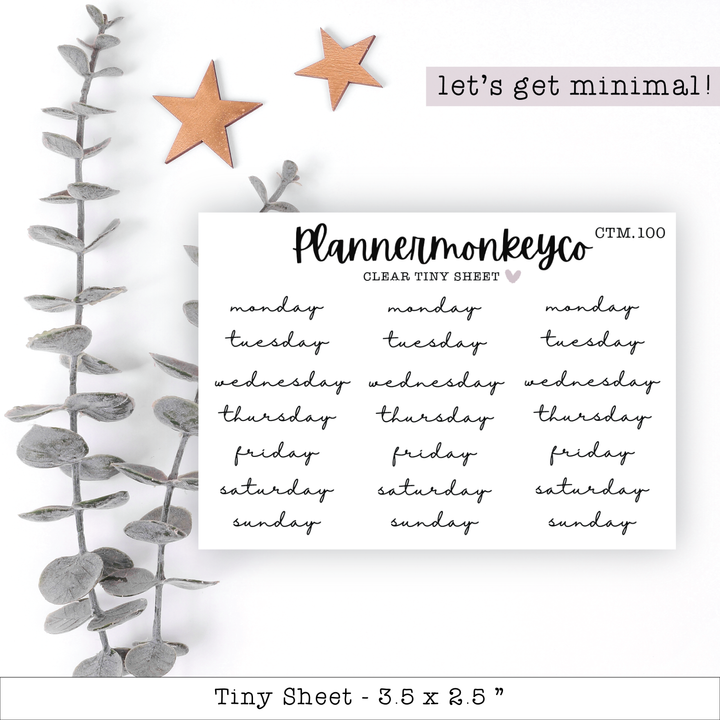 a sheet of paper with a plant and stars on it
