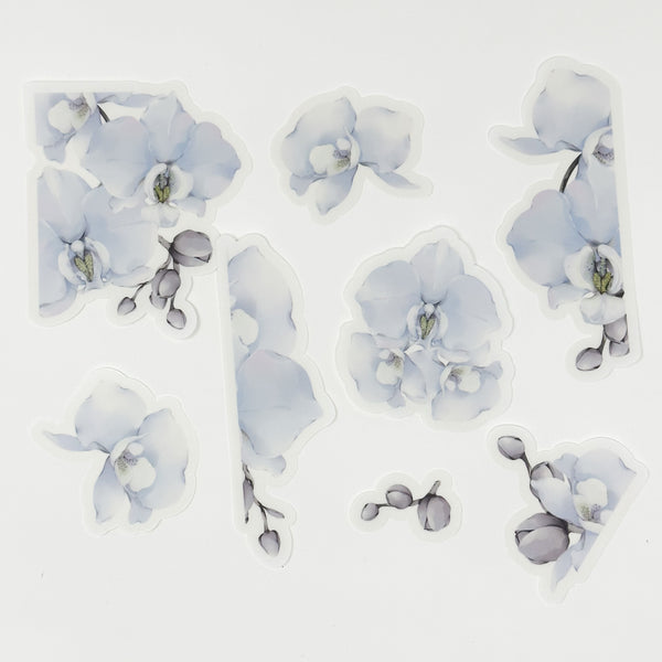 Large Purple Orchid Die Cut Set Of 8  (Transparent)