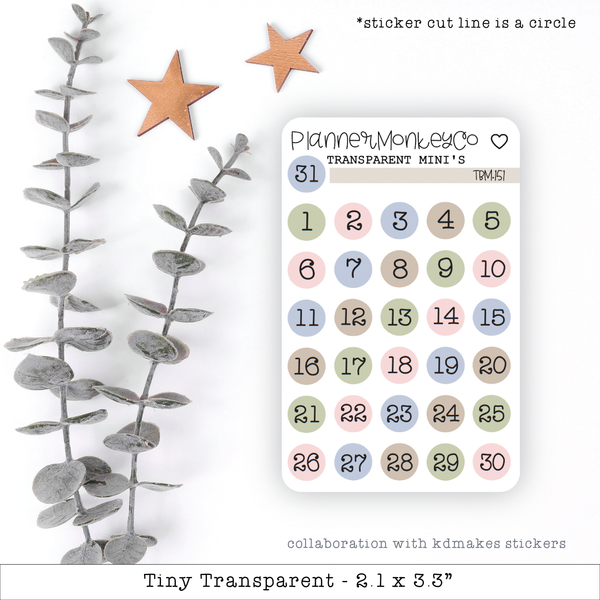 Spring Flowers Date Dot Stickers Mini Sheet (Transparent)