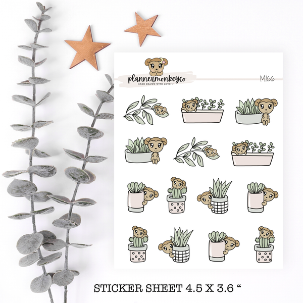 M73 | Macy loves plants