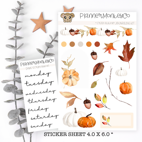 JN.11 | Crisp Autumn Journaling Deco Kit | Transparent + Regular Matte