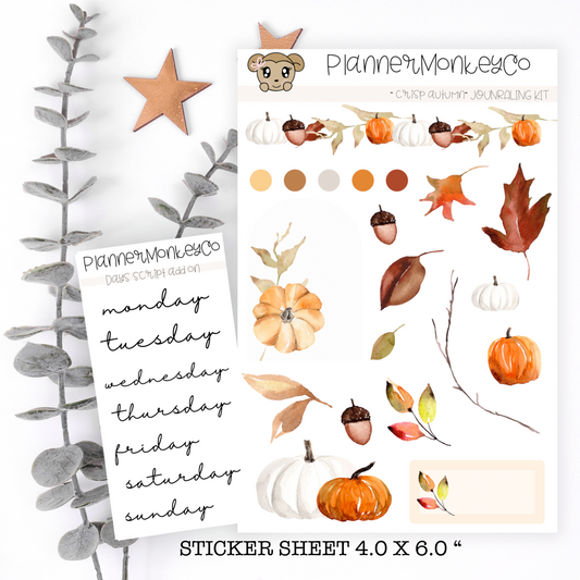 ' Crisp Autumn ' Journaling Deco Kit | Transparent + Regular Matte