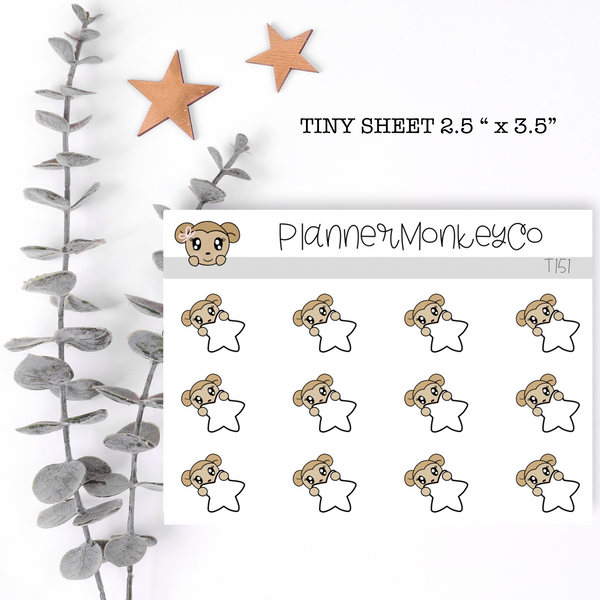 T108 | Macy Peeking Star Tiny Sheet