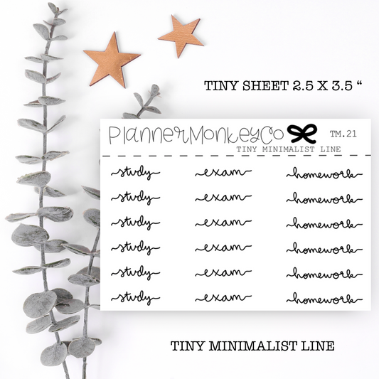 TM.21 | study, exam, homework tiny sheet (minimal)