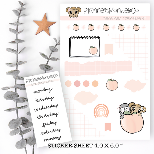 ' Sassy Peach ' Journaling Deco Kit | Regular + Transparent Matte