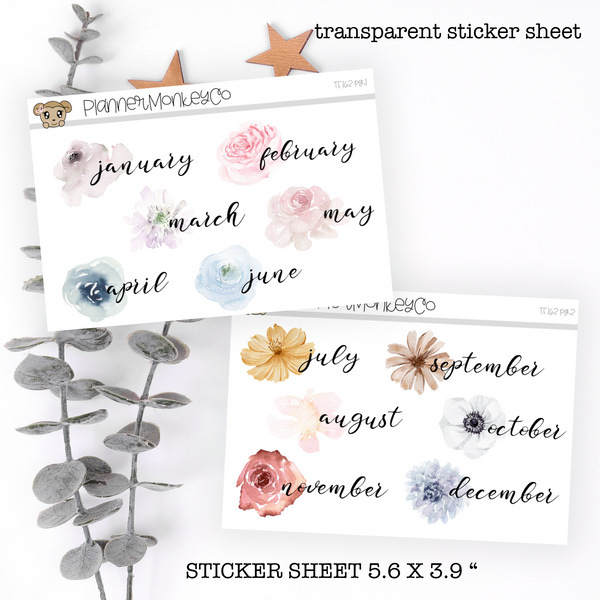 F117 | Floral Variety Large Months Of The Year (2pg Set) (Transparent)